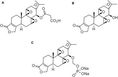 Chinese medicinal herbs as potential prodrugs for obesity